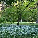 Park Reichenbach 4* Reichenbach (Oberlausitz)