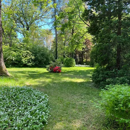 Park Reichenbach Bed & Breakfast *