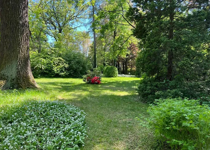 Park Reichenbach Bed & Breakfast 4*