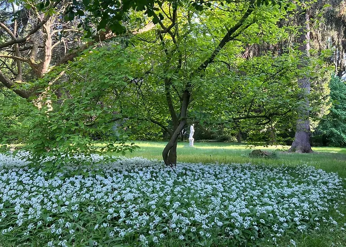 Park Reichenbach 4* Reichenbach (Oberlausitz)